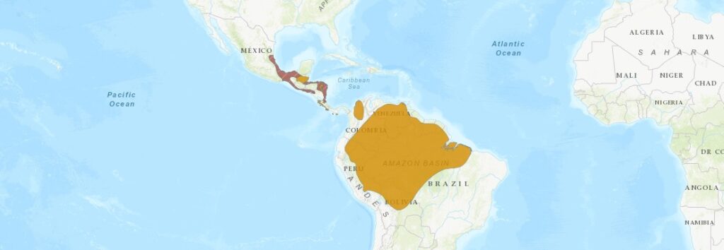 mapa de distribucion de la guacamaya roja