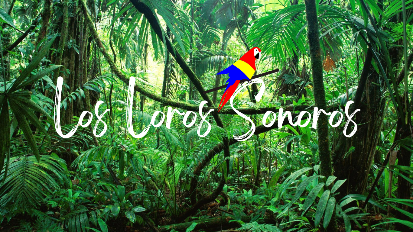 Los Loros Sonoros